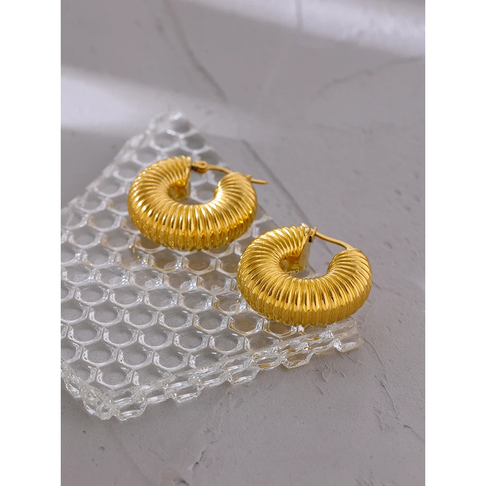 Trendy Chunky Round Hoop Earrings